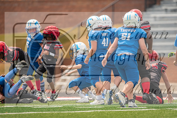 _DSC0702