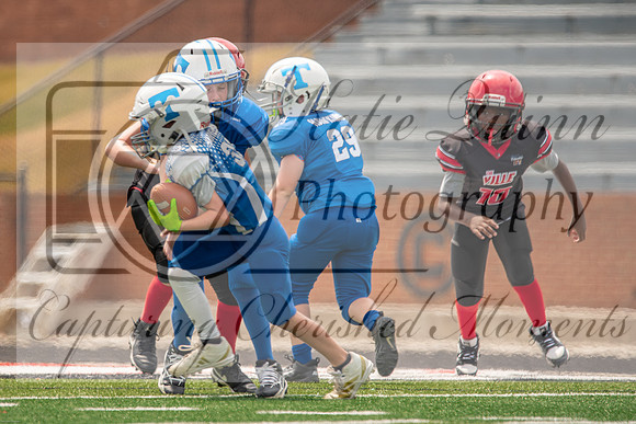 _DSC0705