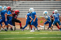 _DSC0695