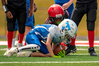 _DSC0700